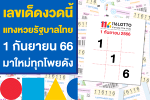 เลขเด็ดงวดนี้ แทงหวย 1 กันยายน 66 มาใหม่ เช็กเลยก่อนแทงหวย 