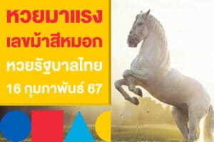 หวยมาแรง เลขม้าสีหมอก หวยรัฐบาลไทย 16 กุมภาพันธ์ 2567 เลขเด็ดงวดนี้