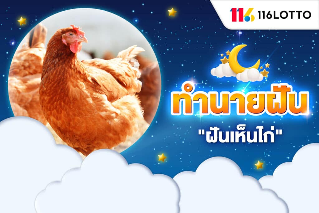 ฝันเห็นไก่ ทำนายความฝัน เมื่อฝันเกี่ยวกับไก่ พร้อมเลขเด็ดเสี่ยงโชค