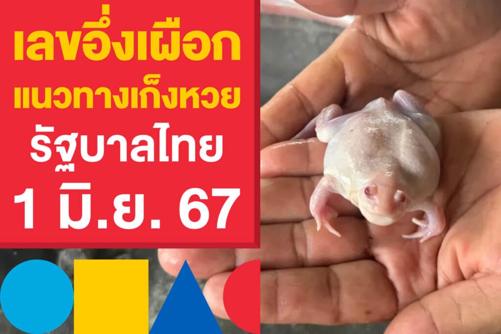 เลขเด็ดอึ่งเผือก แนวทางเก็งหวยรัฐบาลไทย 1 มิ.ย. 67 เลข 2 - 3 ตัว