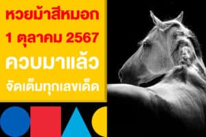 หวยม้าสีหมอก 1 ตุลาคม 2567 ควบมาแล้ว จัดเต็มทุกเลขเด็ดน่าตาม