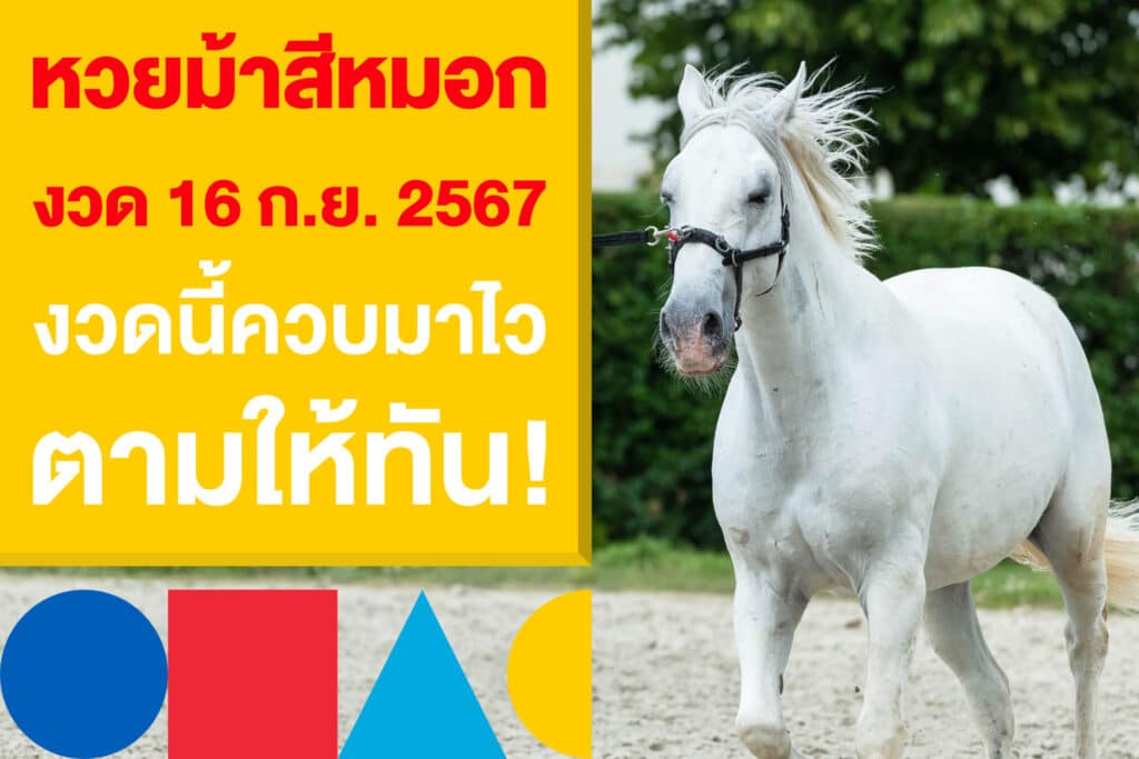 หวยม้าสีหมอก งวดวันที่ 16 ก.ย. 2567 งวดนี้ควบมาไว ตามให้ทัน!