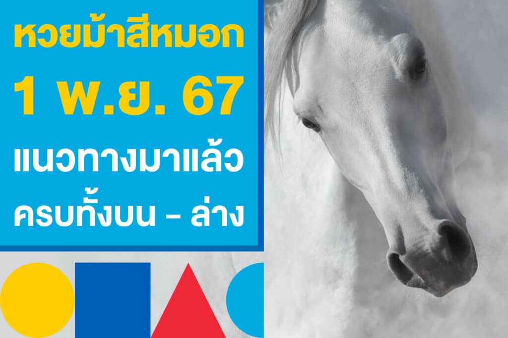 หวยม้าสีหมอก 1 พ.ย. 67 แนวทางมาแล้ว ตามให้ไว ครบทั้งบน - ล่าง