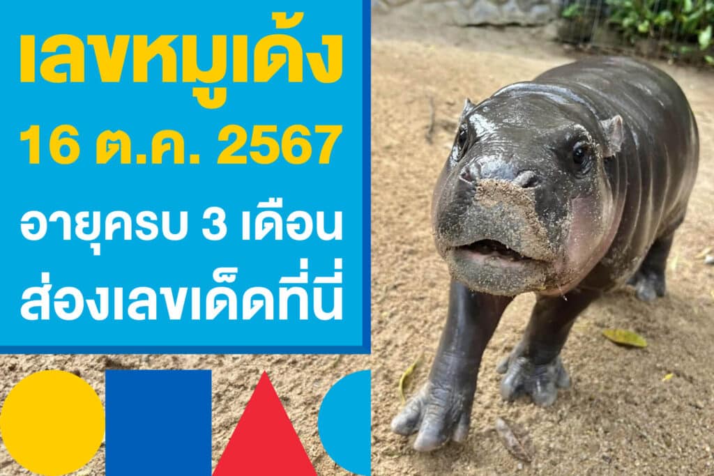 เลขหมูเด้ง 16 ต.ค.​ 2567 งวดนี้ อายุครบ 3 เดือน ส่องเลขเด็ดที่นี่