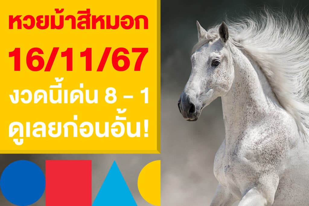 หวยม้าสีหมอก 16/11/67 งวดนี้เด่น 8 - 1 เลขไหนน่าตาม ดูเลยก่อนอั้น!