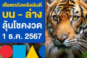 เสือตกถังพลังเงินดี บน - ล่าง ลุ้นโชคงวด 1 ธ.ค. 2567 ตามเลย