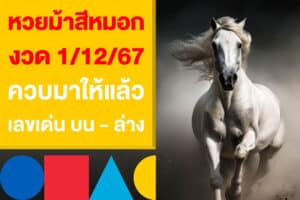 หวยม้าสีหมอก 1/12/67 ควบมาให้แล้ว งวดนี้ แจกเน้น ๆ  บน - ล่าง