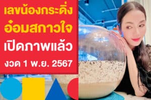 เลขน้องกระดิ่ง อ๋อม สกาวใจ เปิดภาพแล้ว งวด 1 พ.ย. 2567 นี้