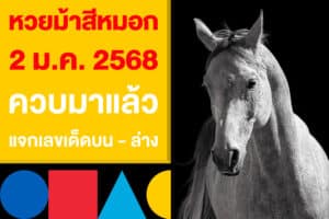 หวยม้าสีหมอก งวด 2 ม.ค. 2568 ควบมาแล้ว แจกเลขเด็ดบน - ล่าง 