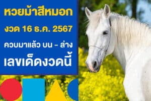 หวยม้าสีหมอก งวด 16 ธ.ค. 2567 ควบมาแล้ว บน - ล่าง เลขเด็ดงวดนี้